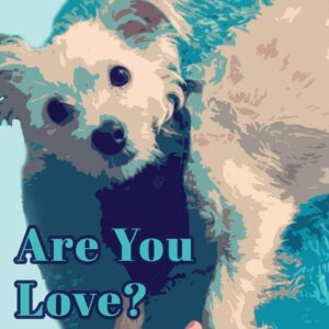 Are You Love?